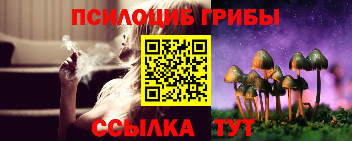 Великие Луки  Галлюциногенные грибы мицелий  Вход с VPN 