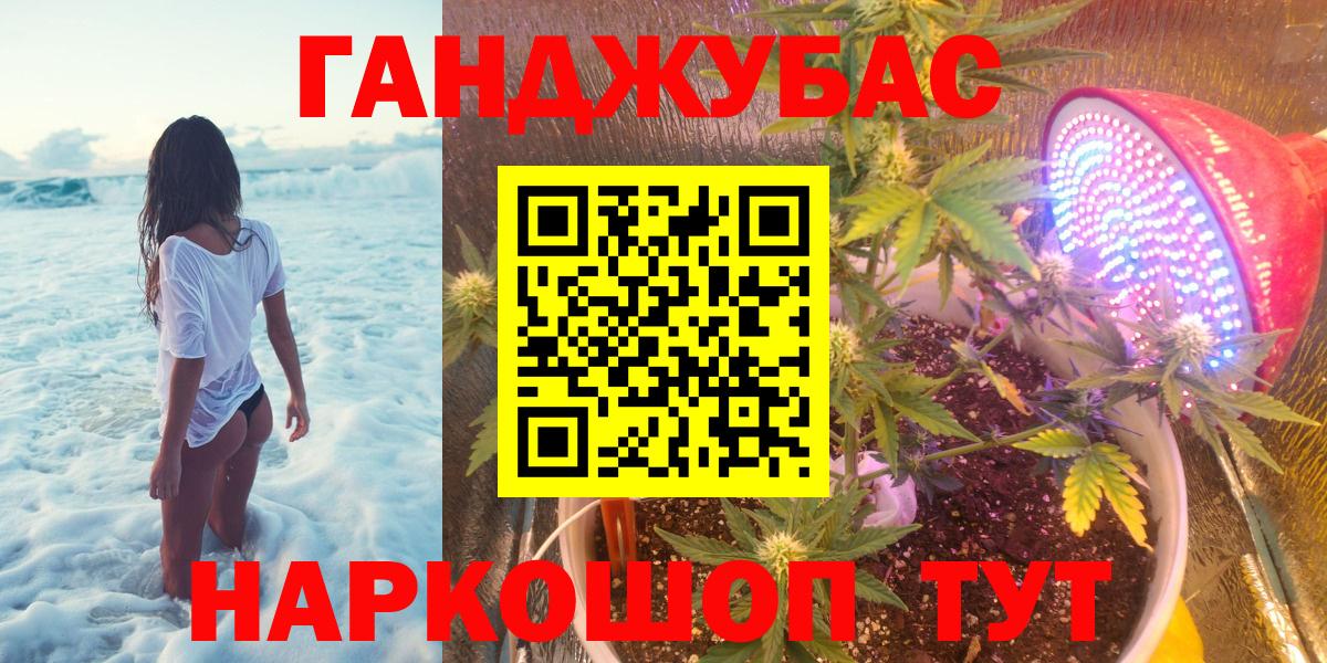 Шишки марихуана планчик  Марихуана индика  Конопля конопля  Вход с VPN  Великие Луки 